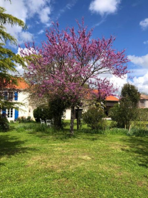 AU DOMAINE DES OISEAUX ses chambres sa gloriette insolite face à l'étang bucolique